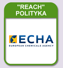 REACH Policy